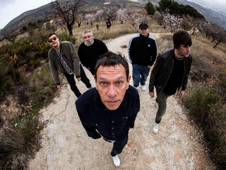 Shed Seven Background