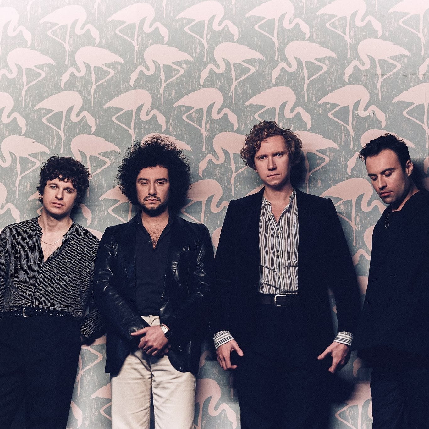 The Kooks Live Performance